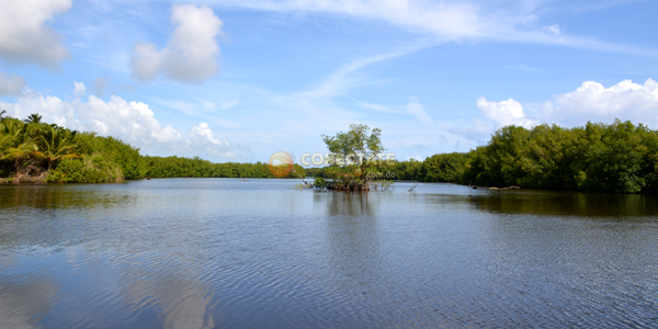 La Gran Laguna