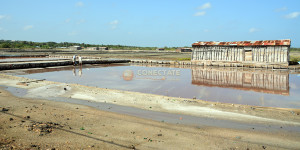 San Fernando de Montecristi 24