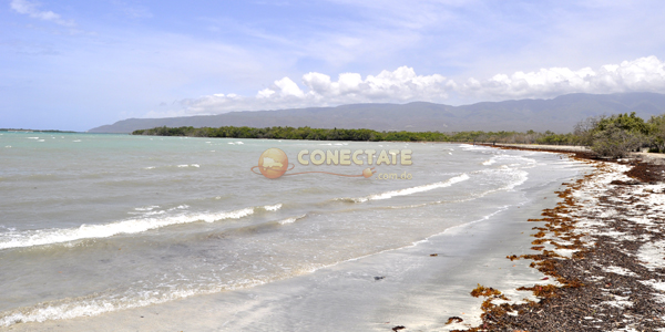 Playa Monte Rio 2